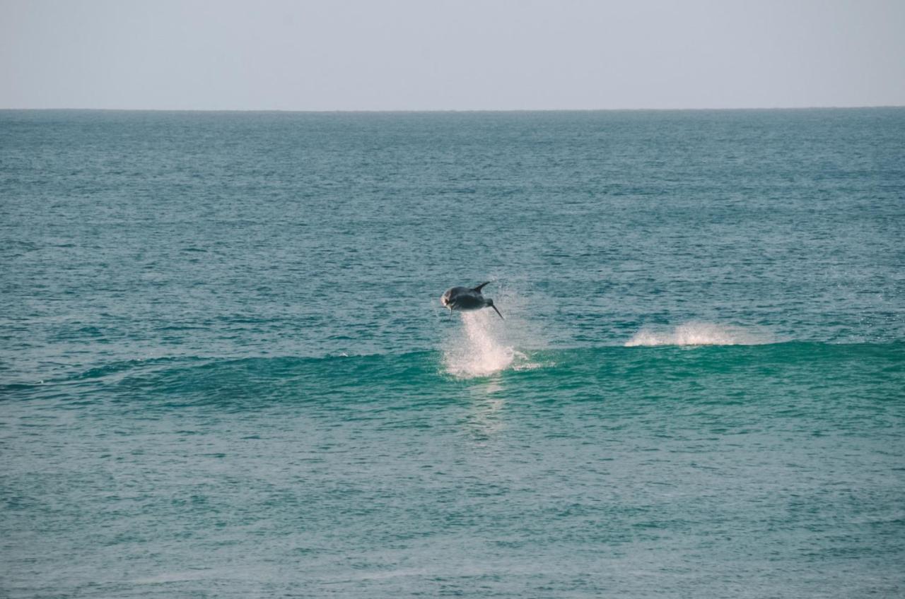ホテル Aotearoa Surf Eco Pods Te Arai エクステリア 写真